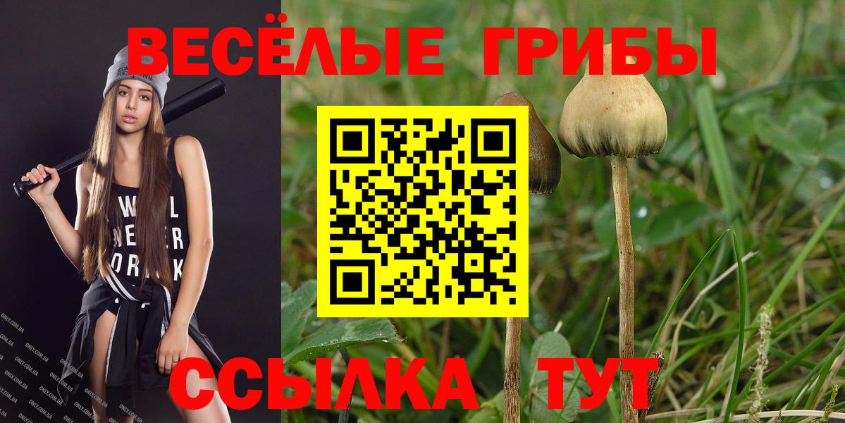 Галлюциногенные грибы прущие грибы Лабытнанги