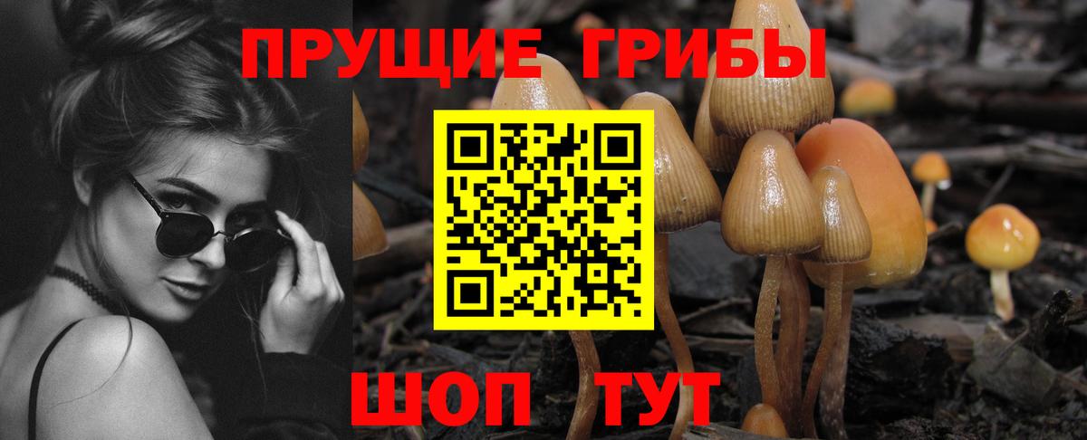 Лабытнанги  Галлюциногенные грибы GOLDEN TEACHER  Вход с VPN 